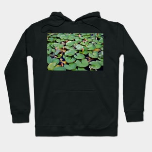 Lotus Serenity: A Glimpse of Tranquil Beauty Hoodie